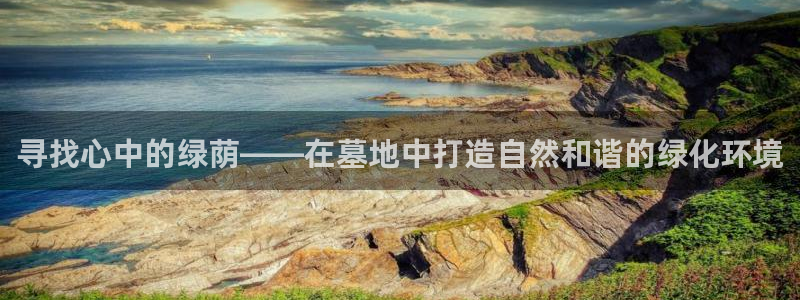 关于新宝GG