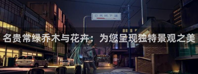 新宝gg5