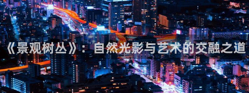 gg新宝创新：《景观树丛》：自然光影与艺术的交融之道