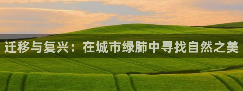 新宝亚洲GG：迁移与复兴：在城市绿肺中寻找自然之美