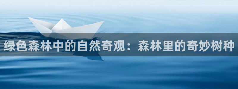 新宝gg如何代理