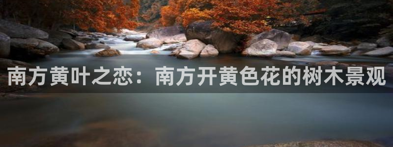 新宝gg时时彩