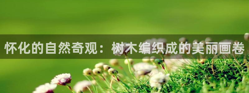 宝新gg