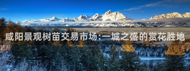 新宝gg网址
