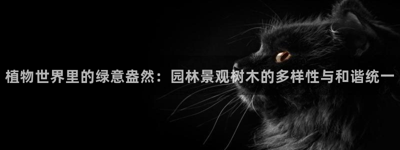 新宝gg招商
