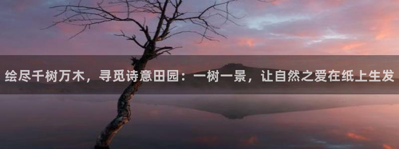 新宝gg官网