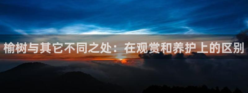 新宝奇迹GG