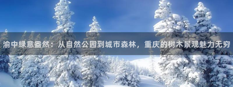 新宝g新宝gg