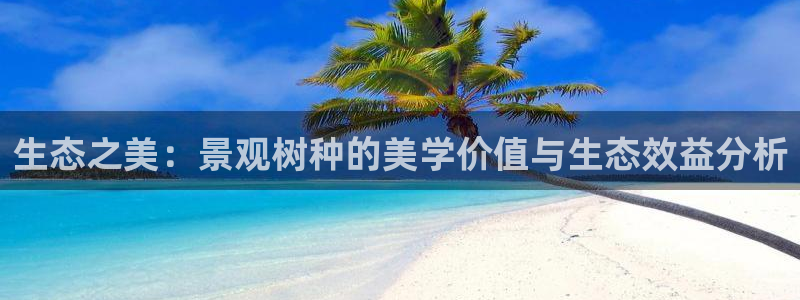 新宝gg评论