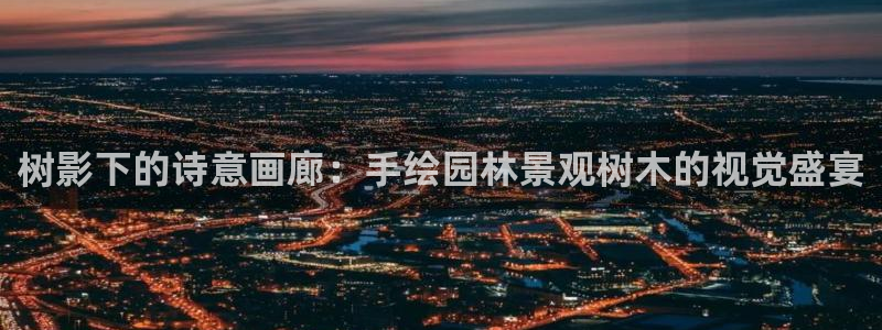 新宝gg介绍