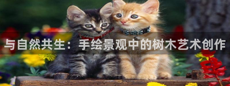 新宝gg dengludizhi
