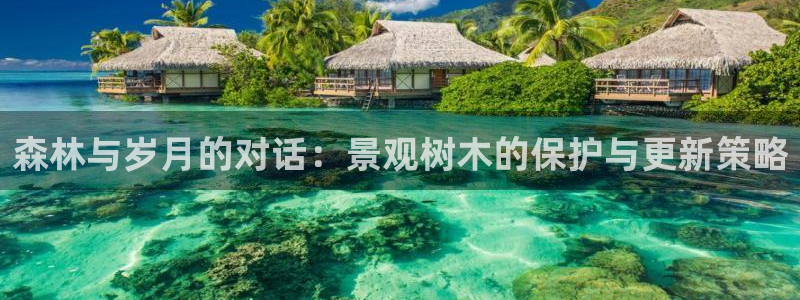 新宝gg平台首页：森林与岁月的对话：景观树木的保护与更新策略