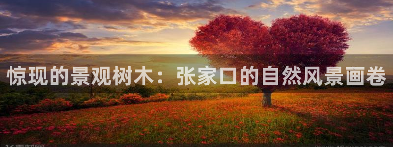 新宝gg吧
