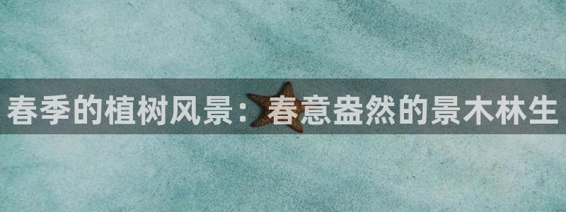 新宝gg玩法