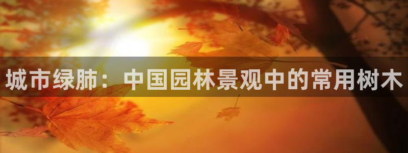 新宝gg金砖彩票
