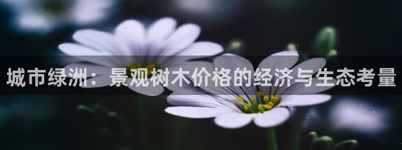 新宝gg 登陆：城市绿洲：景观树木价格的经济与生态考量