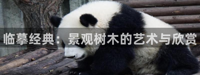 新宝gg如何赚钱