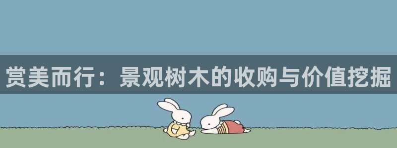 新宝gg一创造奇迹