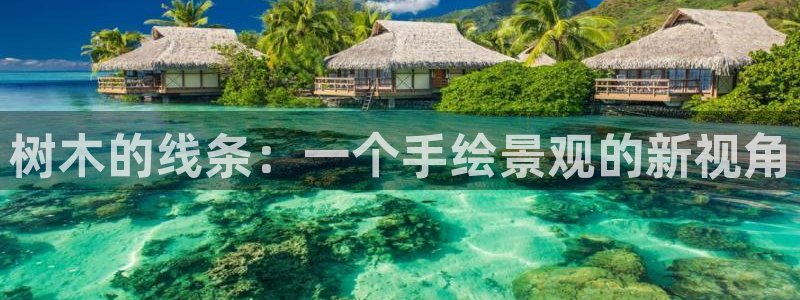 新宝gg怎么开户