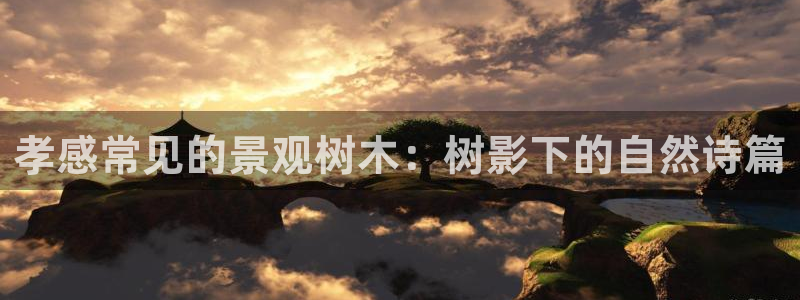 新宝GG无法充值