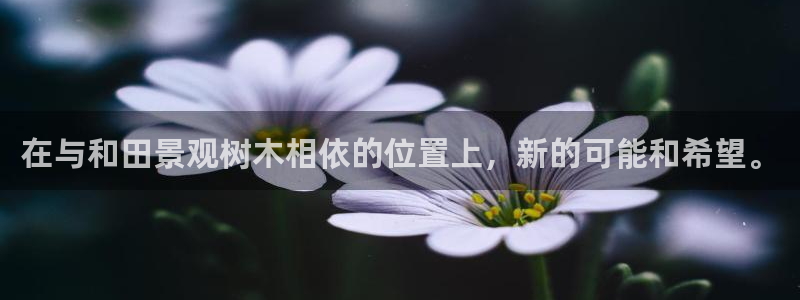 新宝gg下载官网下载