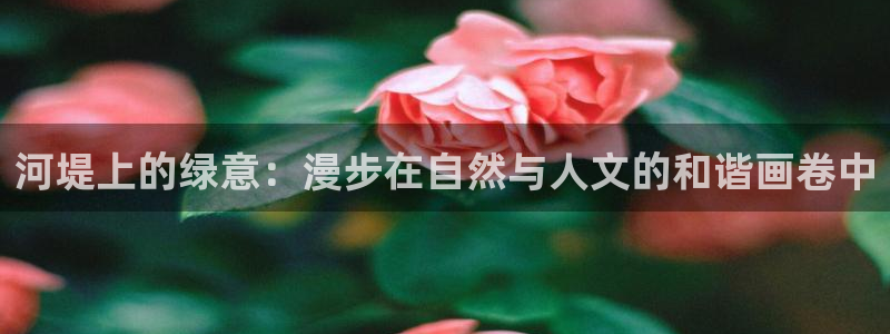 新宝gg手机登录：河堤上的绿意：漫步在自然与人文的和谐画卷中