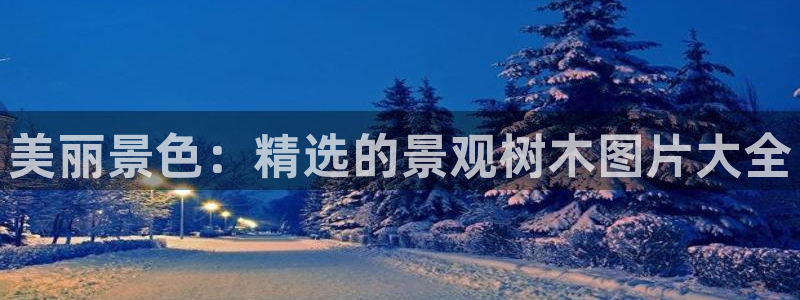 新宝gg平台